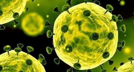 Pandemie da polmonite e sovranità