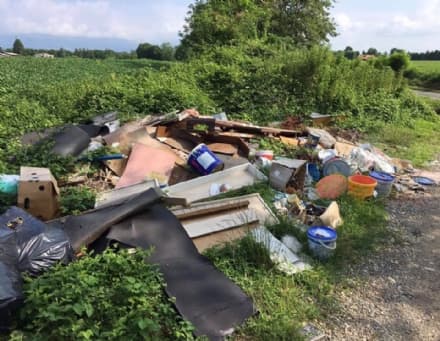 FAVRIA - Maiale taggato, discarica ripulita dal Comune - FOTO