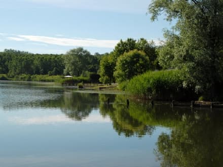 CANDIA - 700 ragazzi coinvolti nel progetto «Pro.Muovi»