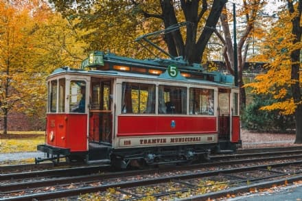 RIEVOCAZIONI - I tram storici si riprendono Torino