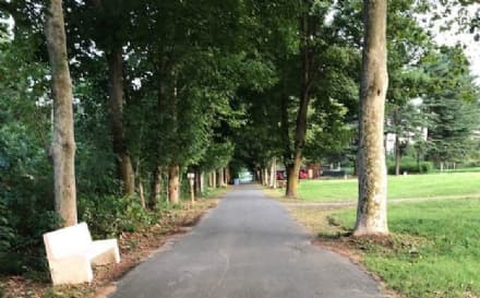 BORGARO - Il parco devastato dal nubifragio: i volontari lo riparano