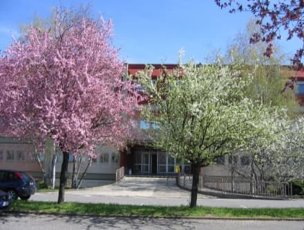 CALUSO - Ottimi risultati per l'esame di Maturità al Martinetti