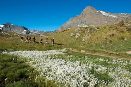 CERESOLE REALE - Il Parco Nazionale del Gran Paradiso ottiene la Carta europea del turismo sostenibile