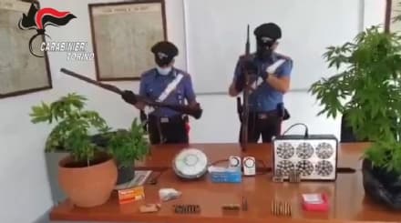SAN FRANCESCO AL CAMPO - Armi e marijuana in casa: 26enne arrestato dai carabinieri - VIDEO