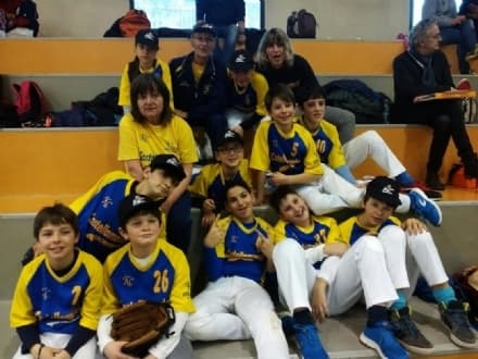BASEBALL - Gli Old Kings Castellamonte vanno alle finali della Western League