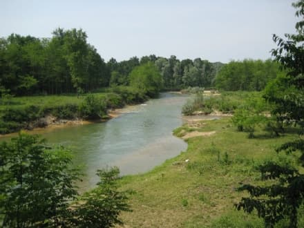 RISERVA DELLA VAUDA - «L'area deve rimanere conservata e protetta»