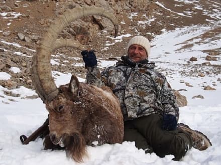 CALUSO - Il veterinario Ponzetto resterà direttore sanitario del canile?