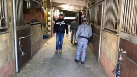 CALUSO - Botte allo stalliere dopo Striscia la Notizia: condannati