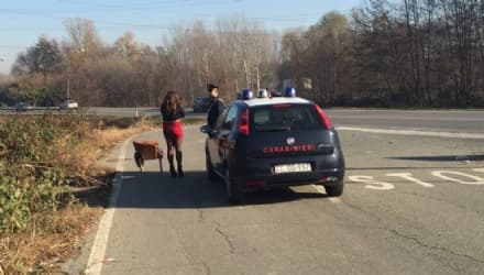 FRONT-LOMBARDORE - Carabinieri sui pullman Gtt per fermare le prostitute dirette in Canavese - FOTO