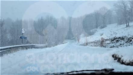 CANAVESE SOTTO LA NEVE - Anche in pianura strade e tetti imbiancati: resta l'allerta meteo per tutta la giornata - FOTO