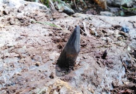 CANISCHIO - Spuntone di metallo danneggia le auto dei turisti - FOTO