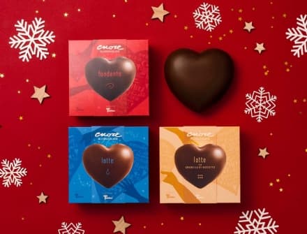 CASTELLAMONTE - I volontari Telethon in campo a Natale per sostenere la ricerca