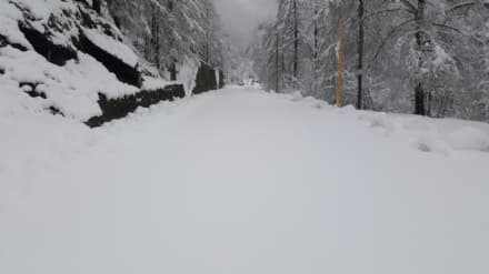CANAVESE - Forte nevicata nelle Valli Orco e Soana: qualche disagio per i black-out in diversi paesi - FOTO
