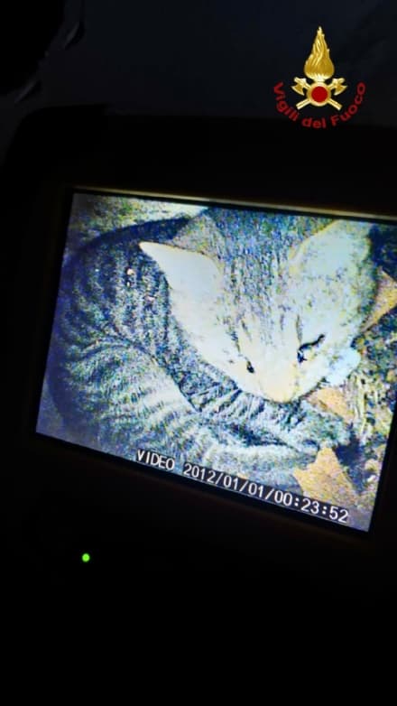 ALBIANO D'IVREA - Gatto cade nella canna fumaria: salvato dai vigili del fuoco di Ivrea - FOTO