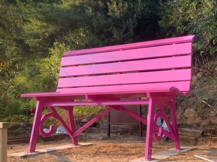 LEVONE - Un premio speciale per la panchina gigante del paese