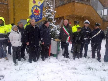FELETTO - Una casa per l'abete della Centrale del latte - FOTO