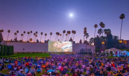 SPETTACOLO - Al cinema con il morto