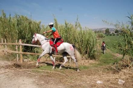 ENDURANCE - Il Canavese ospita la prima prova regionale di specialità