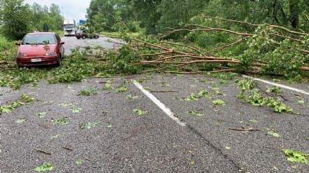 CANAVESE - Nubifragio con grandine: alberi abbattuti e allagamenti in diversi Comuni - FOTO e VIDEO