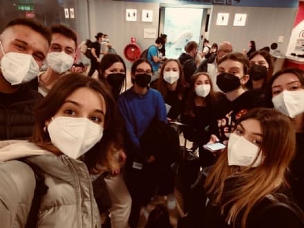 CANAVESE - Intercultura, borsa di studio estiva in Irlanda