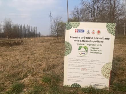MAPPANO - Iniziata la piantumazione di 2475 alberi e 1237 arbusti