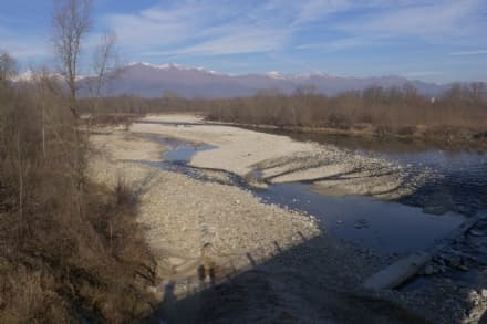 CANAVESE - Pulizia dei fiumi e lavori di difesa spondale: quasi mezzo milione di euro per i lavori finanziati dalla Regione
