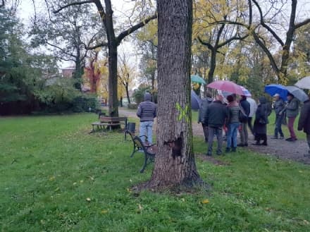 RIVAROLO - Alberi da abbattere: nessun passo indietro - VIDEO