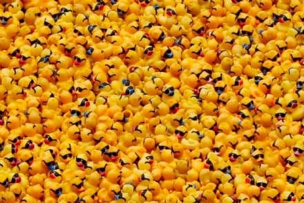 SOLIDARIETA' - La gara delle paperelle in plastica