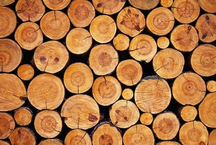 VICO CANAVESE - Asta pubblica per vendere il legname