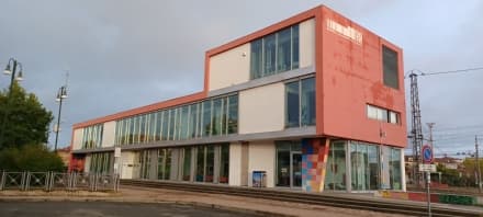 CHIVASSO - Attivo il bando di servizio civile alla biblioteca