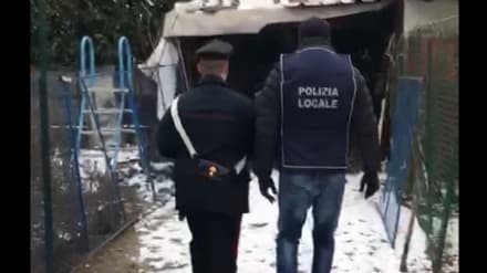 ORRORE - Un cavallo mutilato e ucciso: proprietario denunciato dai carabinieri di Leini