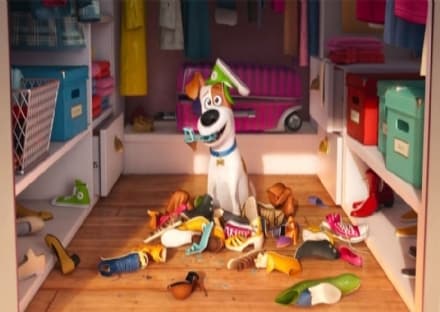 Pets – Vita da animali