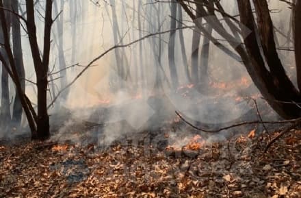 PRATIGLIONE - Incendio boschivo: vigili del fuoco a Aib al lavoro per domare le fiamme - FOTO