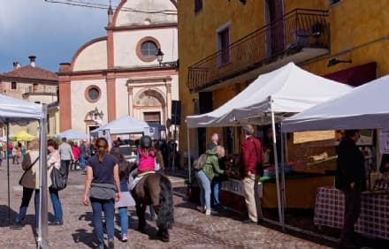 SAN GIORGIO CANAVESE - Il Mercato della Terra e della Biodiversità inaugura il Festival della Reciprocità