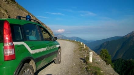 CANAVESE - Aumentano i controlli in montagna dei carabinieri forestali anche con l'elicottero