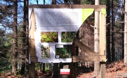 VALCHIUSA - Vandalizzato un pannello del Consorzio Forestale: «Venduti alle lobby del legname»