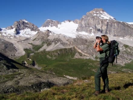 PARCO GRAN PARADISO - Nove posti di lavoro come Guardaparco: un ruolo affascinante a difesa degli animali e dell'area protetta