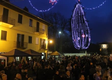 RIVARA - L'albero di Natale vivente più alto d'Europa è in Canavese