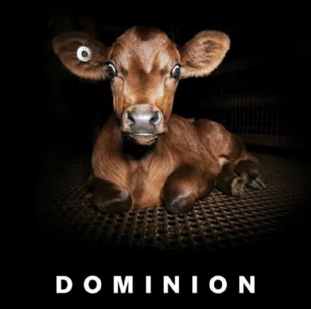 OGLIANICO - A Settimo la proiezione del documentario «Dominion»