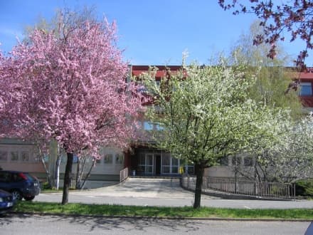 CALUSO - Esame di Stato: ottimi risultati per gli studenti del Martinetti