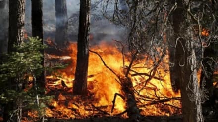 CANAVESE - Siccità e caldo record, allerta incendi: la Regione vara lo stato di massima pericolosità
