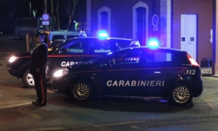 BORGIALLO-CASTELLAMONTE - Uccidono un capriolo vicino alle case: denunciati dai carabinieri