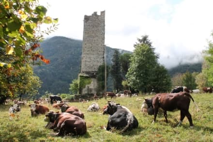 PONT - Transumanza, l'antico rito diventa una grande festa