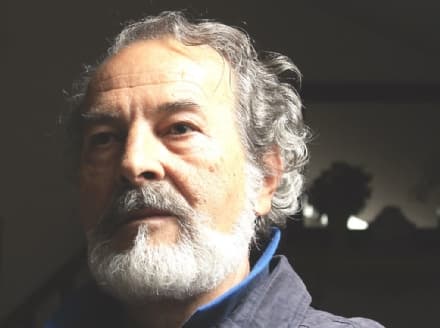 CASTELLAMONTE - Gli artisti della ceramica hanno scelto Pesci