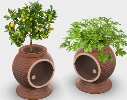 GREEN - Il frigorifero a cui non serve la corrente