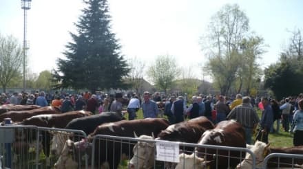 FAVRIA - Comincia stasera la tre giorni della 42esima Fiera di Sant'Isidoro