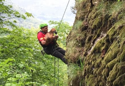 QUINCINETTO - Soccorso alpino salva tre cani dispersi sui monti - FOTO