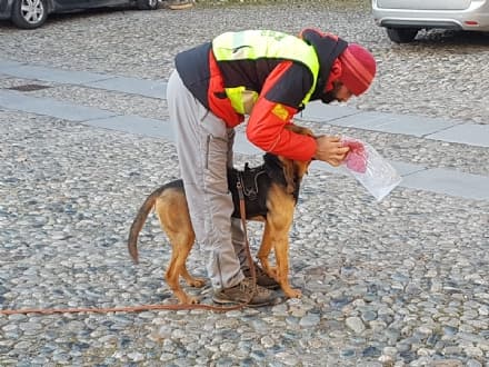 MONTALTO DORA - Unità cinofile del soccorso alpino in esercitazione