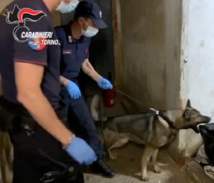 LOMBARDORE - La villetta trasformata in un fortino della droga: 27enne arrestato dai carabinieri di Leini - VIDEO