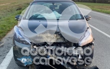 SAN PONSO-BUSANO - Investe un cinghiale sulla Rocchetta: auto distrutta, ferito giovane di Cuorgnè - FOTO